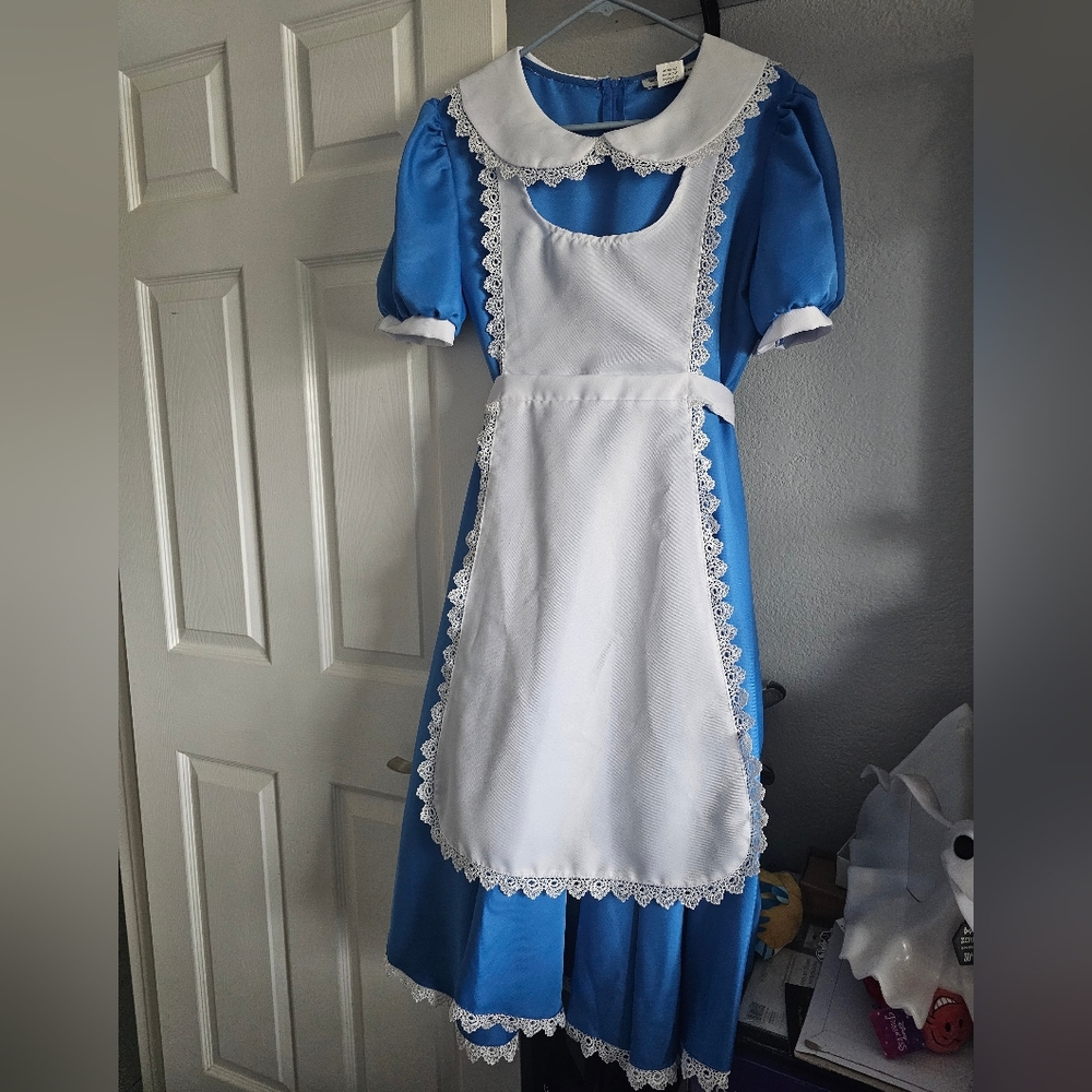 Alice in Wonderland dress